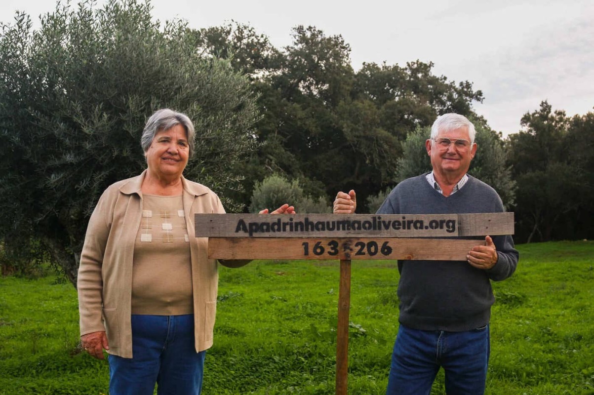 Retrato do casal Eminência e Eduardo Grácio, que pediram ajuda ao projeto "Apadrinha uma Oliveira"